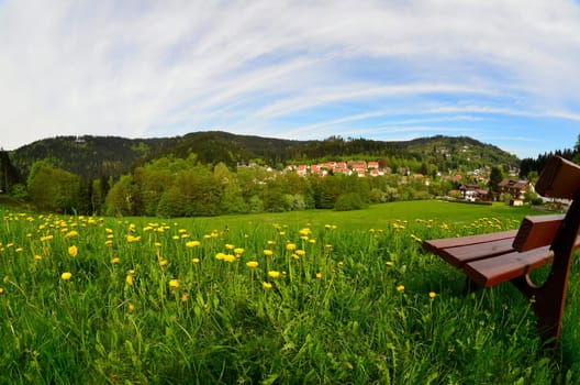 Landscape in spring