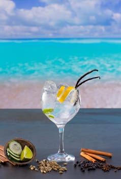 Gin tonic cocktail with spices in  tropical turquoise Caribbean beach