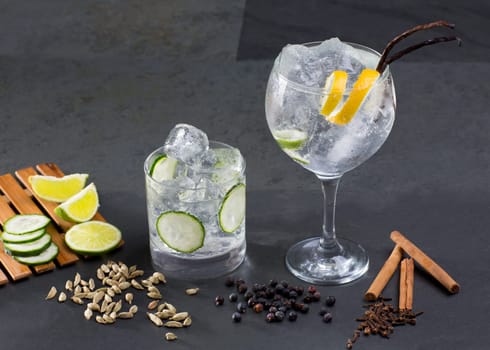 Gin tonic cocktail with lima cucumber vanilla cloves cardamom cinnamon and juniper berries