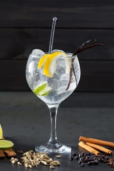 Gin tonic cocktail with lima cucumber vanilla cloves cardamom cinnamon and juniper berries