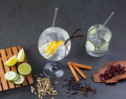 Gin tonic cocktail with lima cucumber vanilla cloves cardamom cinnamon and juniper berries