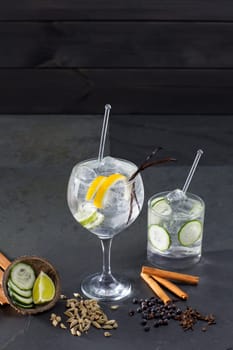 Gin tonic cocktail with lima cucumber vanilla cloves cardamom cinnamon and juniper berries