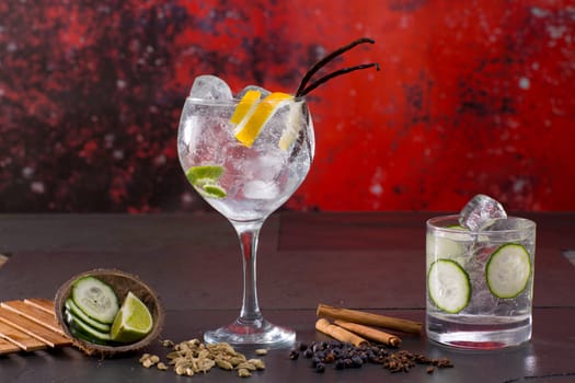 Gin tonic cocktail with spices lima cucumber vanilla cloves cardamom cinnamon and juniper berries in red