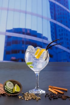 Gin tonic cocktail with spices in urban city buildings background