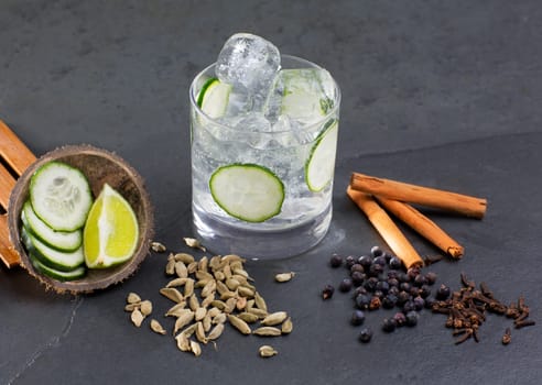 Gin tonic cocktail with lima cucumber vanilla cloves cardamom cinnamon and juniper berries