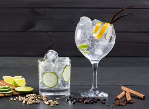 Gin tonic cocktail with lima cucumber vanilla cloves cardamom cinnamon and juniper berries