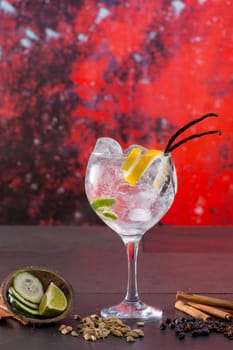 Gin tonic cocktail with spices lima cucumber vanilla cloves cardamom cinnamon and juniper berries in red