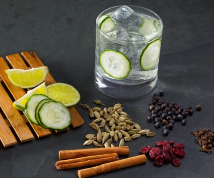 Gin tonic cocktail with lima cucumber cloves cardamom cinnamon and juniper berries