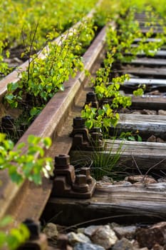 Siding