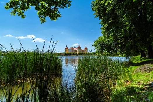 Moritzburg
