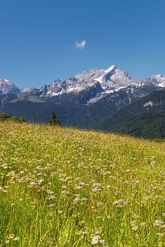 Eckbauer,Garmisch-Partenkirchen,Bavaria,Germany