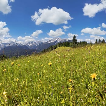 Eckbauer,Garmisch-Partenkirchen,Bavaria,Germany
