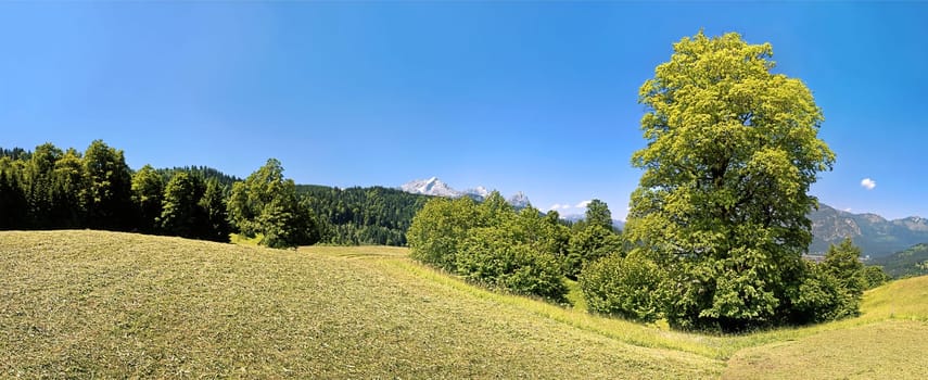 Eckbauer,Garmisch-Partenkirchen,Bavaria,Germany