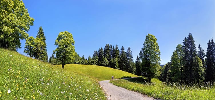 Eckbauer,Garmisch-Partenkirchen,Bavaria,Germany