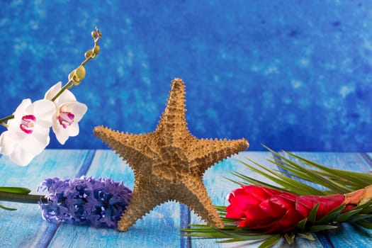 starfish with hyacinth flower and white orchid on blue wood  background
