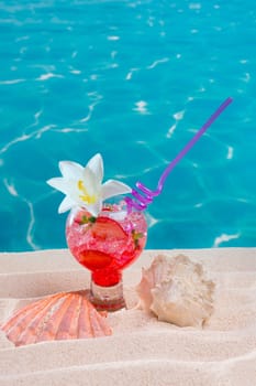 Beach tropical red cocktail on caribbean white sand flower and seashell