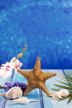 starfish seashells with hyacinth flower and white orchid on blue wood  background