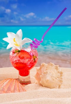 Beach tropical red cocktail on caribbean white sand flower and seashell