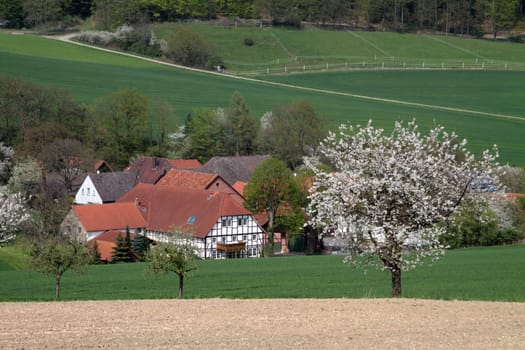 View of Gellersen (Weser Uplands)