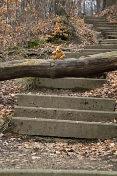 Hiking trail to Hohenstein with teddy bear Krambam