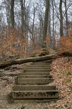 Hiking trail to Hohenstein