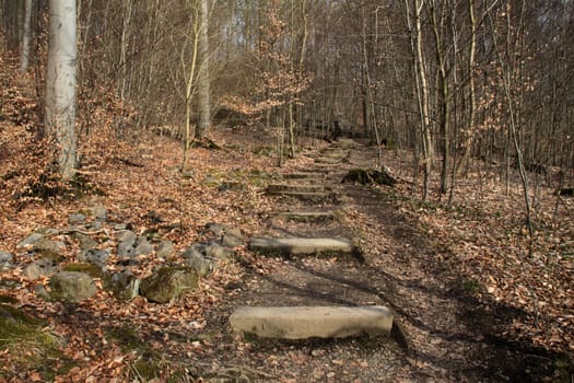 Hiking trail to Hohenstein