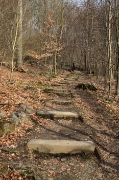 Hiking trail to Hohenstein