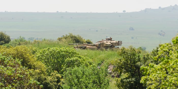 Israeli tank watch standby alert in high grass at boundary area