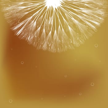 Abstract art background with dandelion and bubbles