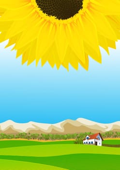 Illustration concept of a summer rural landscape
