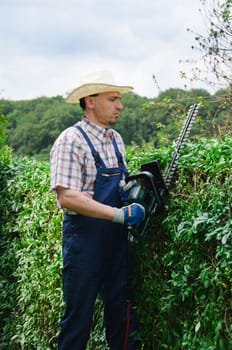 Adult man in blue overalls (gardener), rubber boots and straw hat standing on a large plot and cut the hedge with an electric hedge trimmer.