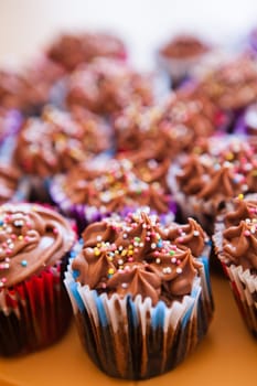 Closeup of chocolate cupcakes with decorative sprinkles on plastic tray