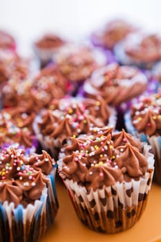 Closeup of chocolate cupcakes with decorative sprinkles on plastic tray