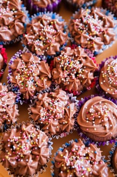 Closeup of chocolate cupcakes with decorative sprinkles viewed from above