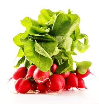 Bunch of radish isolated on white background