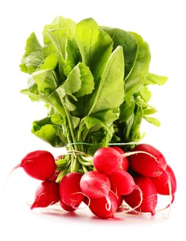 Bunch of radish isolated on white background
