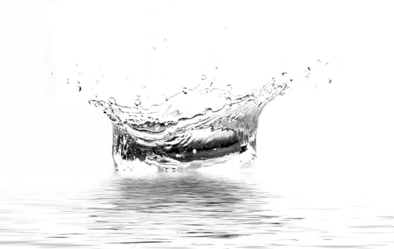 gray splash