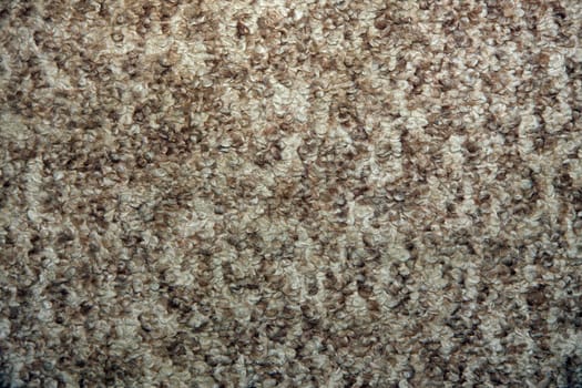 traditional carpet