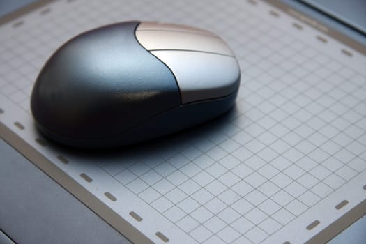 silver mouse