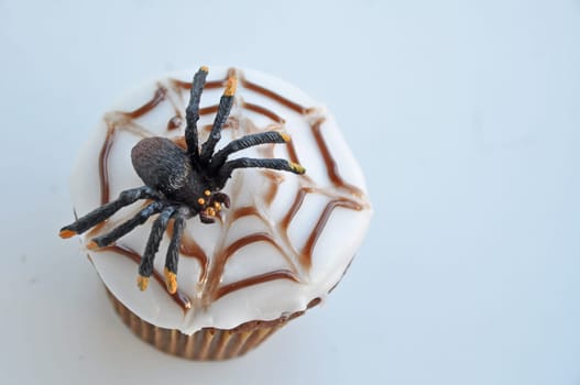 Spider Cupcakes
