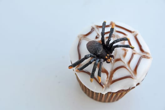 Spider Cupcakes