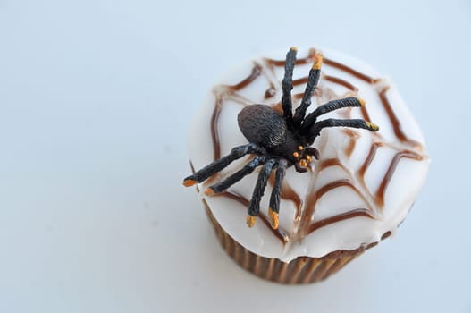 Spider Cupcakes