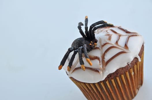 Spider Cupcakes