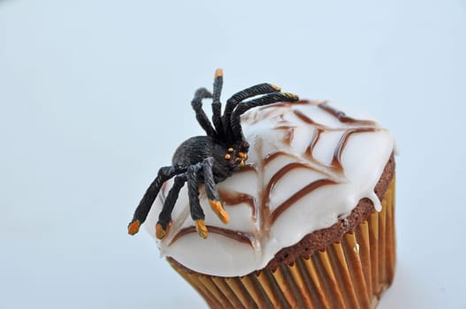 Spider Cupcakes