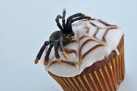 Spider Cupcakes
