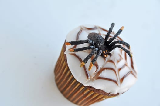 Spider Cupcakes