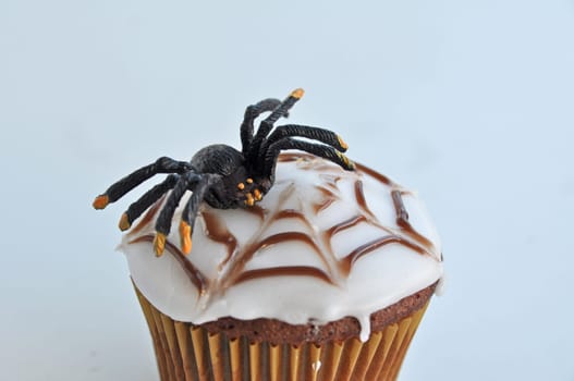 Spider Cupcakes