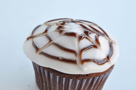 Spider Cupcakes