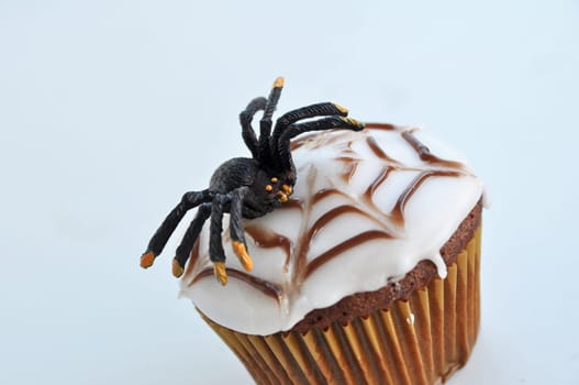 Spider Cupcakes