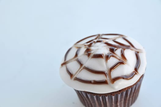 Spider Cupcakes